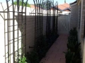 Steel wall trellis arches