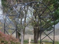 round-top-rose-arch