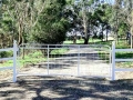 Vanessa farm mesh gate mounted on steel posts with balls caps by Farmweld