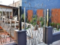 Contemporary iron gate & fence with bulrushes